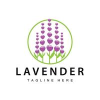 lavendel logo gemakkelijk ontwerp vector kunstmatig fabriek Purper kleur en aromatherapie lavendel bloem tuin sjabloon