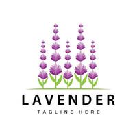 lavendel logo gemakkelijk ontwerp vector kunstmatig fabriek Purper kleur en aromatherapie lavendel bloem tuin sjabloon