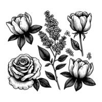 reeks van bloemen hand- getrokken stijl. bloem roos, pioen, bladeren voor decoratie. zwart en wit vector bloemen illustratie