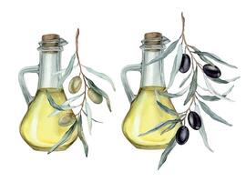 olijf- olie in glas fles. hand- getrokken illustratie geïsoleerd achtergrond. natuurlijk vers biologisch geel groente olie in pot realistisch waterverf afbeelding. zuiver veganistisch kruiden. voor ontwerp vector