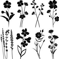 ai gegenereerd silhouet voorjaar bloem verzameling zwart kleur enkel en alleen vector