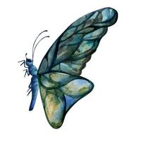 hand- getrokken waterverf illustratie vlinder fee Vleugels edelsteen kristal insect mot. saffier smaragd labradoriet larimar. single voorwerp geïsoleerd Aan wit achtergrond. ontwerp afdrukken winkel, bruiloft, verjaardag vector