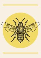 honing bij inkt tekening wijnoogst vector illustratie poster. hand- getrokken geïsoleerd insect schetsen.