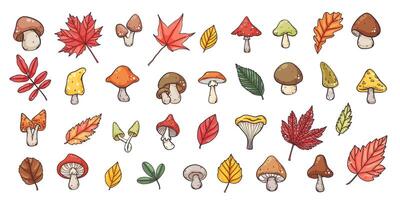 groot reeks van hand- getrokken herfst champignons en bladeren elementen, hand- getrokken schattig tekenfilm kleurrijk stijl, vector illustratie