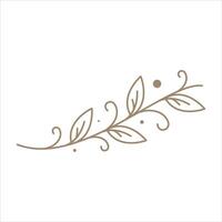 blad bruiloft ornament ontwerp element verzameling vector