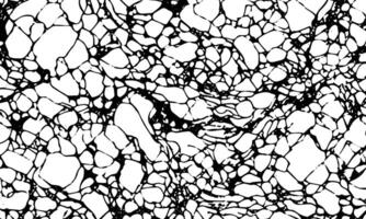 een zwart en wit marmeren structuur vector