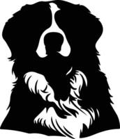 bernese berg hond zwart silhouet vector