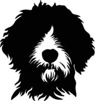 Portugees water hond silhouet portret vector