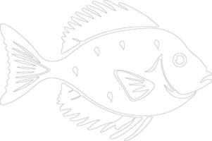 John dory schets silhouet vector