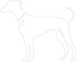 whippet schets silhouet vector