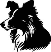 shetland herdershond silhouet portret vector