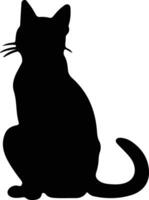 Europese kort haar kat zwart silhouet vector