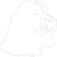 Amerikaans cocker spaniel schets silhouet vector