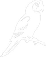 papegaai schets silhouet vector