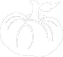 pattypan squash schets silhouet vector