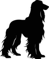 afghaan hond zwart silhouet vector