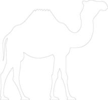Bactrian kameel schets silhouet vector