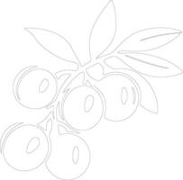 loquat schets silhouet vector