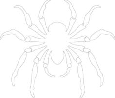 tarantula schets silhouet vector