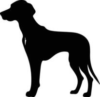 weimaraner zwart silhouet vector