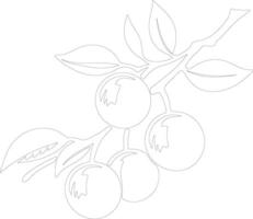 loquat schets silhouet vector