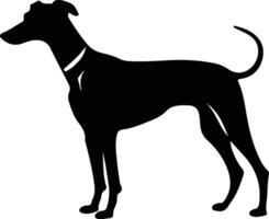 whippet zwart silhouet vector