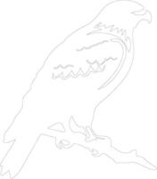 roodstaart havik schets silhouet vector