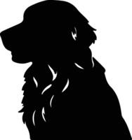 plat gecoat retriever zwart silhouet vector