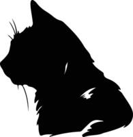 cymric kat silhouet portret vector