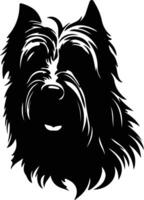 briard silhouet portret vector