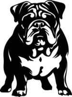 Engels bulldog zwart silhouet vector
