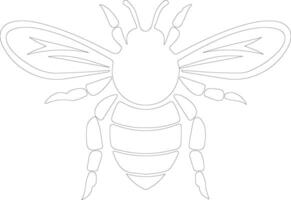 hommel schets silhouet vector