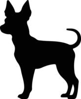 miniatuur pinscher zwart silhouet vector