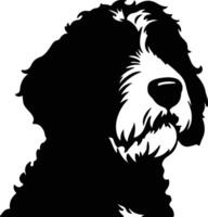 Spaans water hond silhouet portret vector