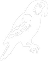 Afrikaanse grijs papegaai schets silhouet vector