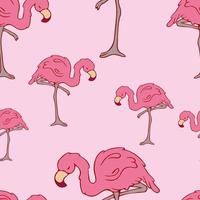 naadloos patroon. flamingo's. tekening. contour vogel. contour. roze flamingo. roze kleur vector