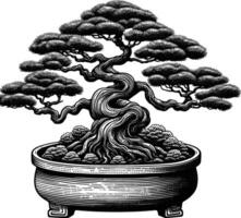 artistiek hand- getrokken bonsai boom lijn kunst vector