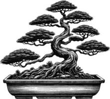 artistiek hand- getrokken bonsai boom lijn kunst vector