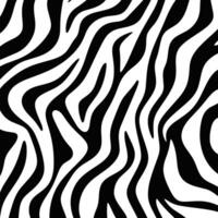 modieus zebra huid patroon achtergrond vector. zwart en wit lijn Golf abstract achtergrond. vector