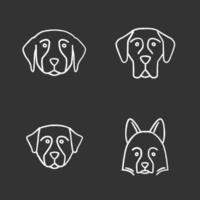 hondenrassen krijt pictogrammen instellen. golden retriever, deense dog, berner sennenhond, shetland herdershond. geïsoleerde vector schoolbord illustraties