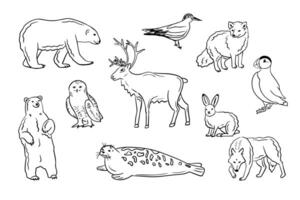 contour hand- getrokken arctisch dieren en vogelstand set. tekening schets polair beer, rendier, sneeuw uil, atlantic papegaaiduiker Aan wit achtergrond. ideaal voor kleur Pagina's, tatoeëren, patroon vector