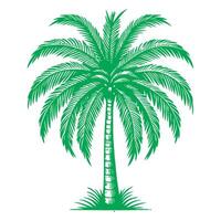 palm of kokosnoot boom tropisch groen bladeren. hand- tekening tekening schetsen stijl vector illustratie