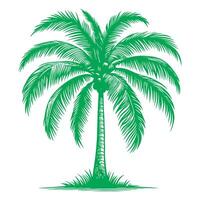 palm of kokosnoot boom tropisch groen bladeren. hand- tekening tekening schetsen stijl vector illustratie