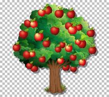 appelboom op rasterachtergrond vector