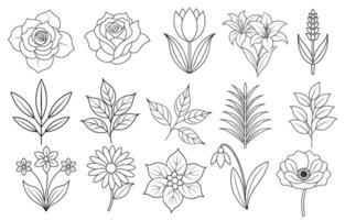 verzameling van bloem en blad elementen voor ontwerp voor uitnodiging, groet kaart, citaat, blog, poster. vector