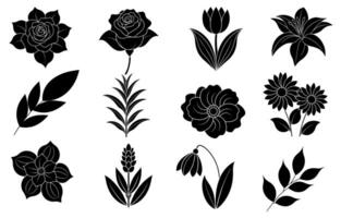 verzameling van silhouet bloem en blad elementen vector