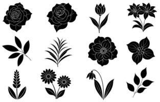 verzameling van silhouet bloem en blad elementen vector