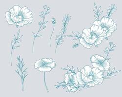 anemoon en wild bloem achtergrond vector