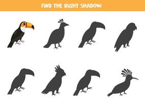 vind de Rechtsaf schaduw van schattig toekan vogel. leerzaam logisch spel voor kinderen. afdrukbare werkblad voor kleuters. vector