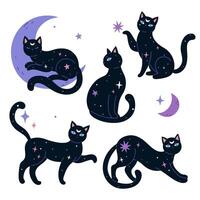 reeks van zwart nacht magie katten. vector grafiek.